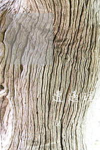遭遇理財(cái)“飛單”，我的損失誰(shuí)來(lái)賠？